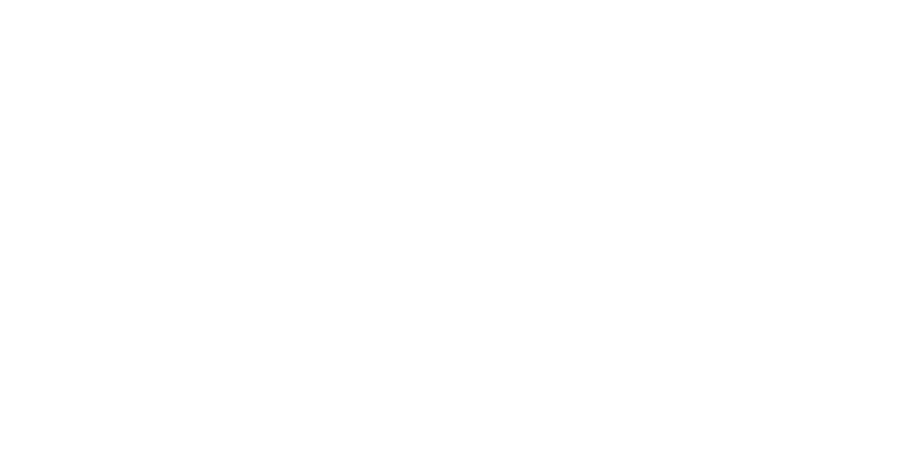 Logo crash